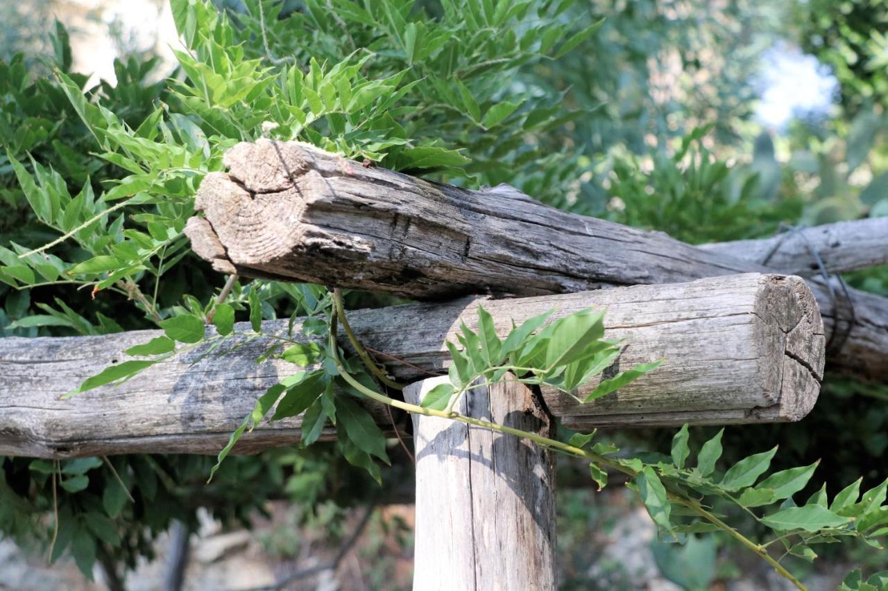 Case Di Berto Capo Vaticano Zewnętrze zdjęcie